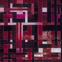 Dancing Bird Feet on Ancient Lake 